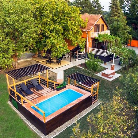 Villa Dijana - Pool, Spa, Outdoor Kitchen Beograd Ngoại thất bức ảnh