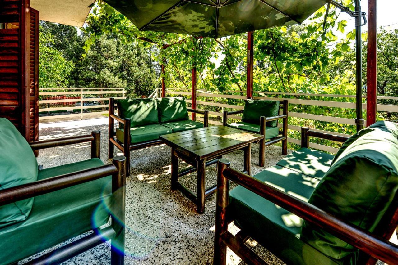 Villa Dijana - Pool, Spa, Outdoor Kitchen Beograd Ngoại thất bức ảnh